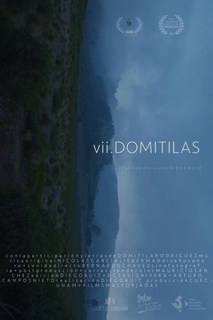 VII Domitilas's poster