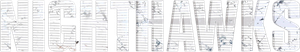 Nighthawks's poster
