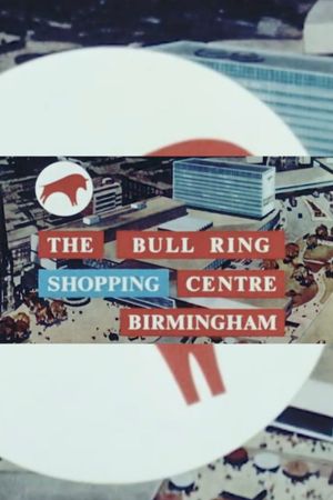 The Bull Ring Shopping Centre Birmingham's poster