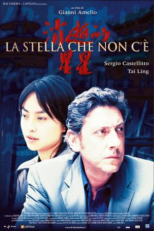 The Missing Star's poster