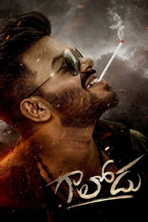 Gaalodu's poster