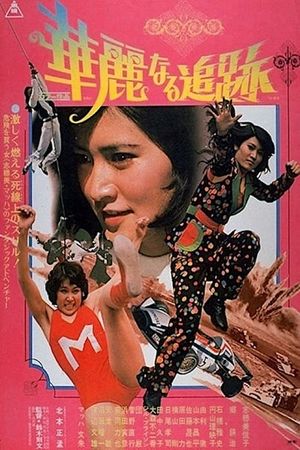 The Great Chase's poster