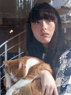 Cat's Home's poster image