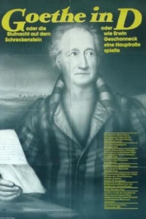 Goethe in D.'s poster