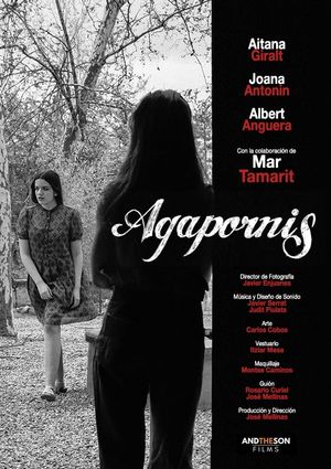 Agapornis's poster