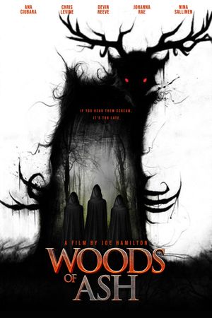 Woods of Ash's poster