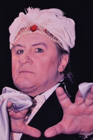 Le Magicien et les Siamois's poster