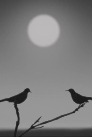 Birdsong's poster