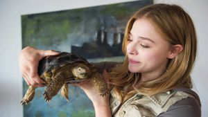 Laggies's poster