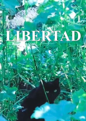 Freedom's poster