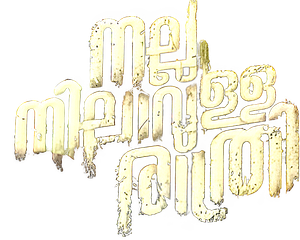 Nalla Nilavulla Rathri's poster