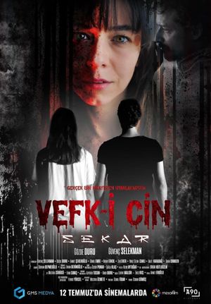 Vefk-i Cin Sekar's poster