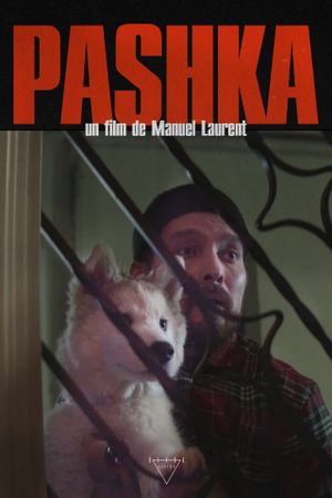 Pashka's poster image