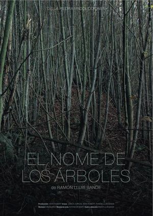 El nome de los árboles's poster