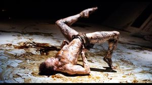 The Royal Ballet's The Metamorphosis's poster