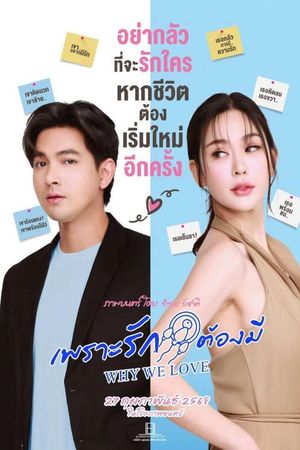 Why We Love's poster
