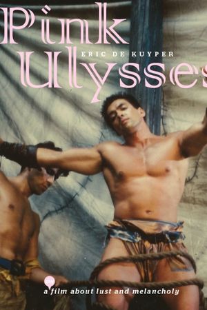 Pink Ulysses's poster