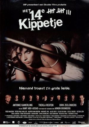 Het 14e kippetje's poster image