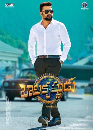 Balakrishnudu's poster