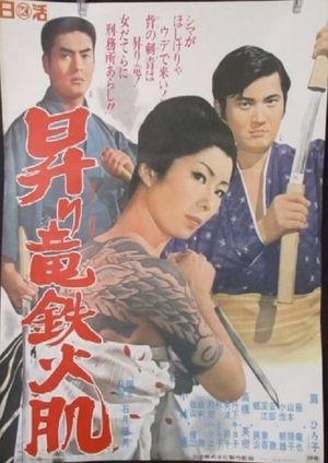 Rising Dragon's Iron Flesh's poster