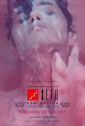 Prisoner of Society's poster