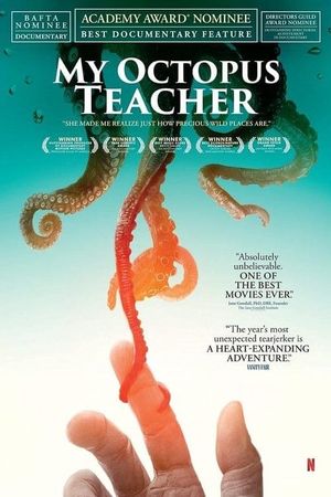 My Octopus Teacher's poster