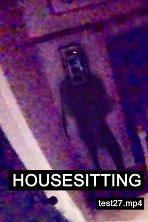 HOUSESITTING's poster