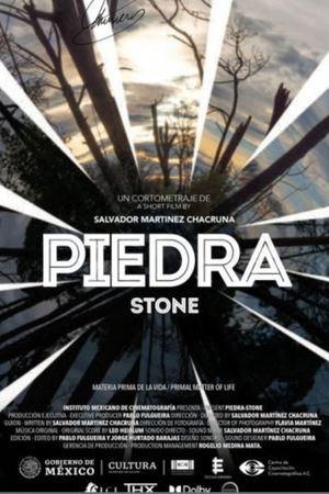 Piedra's poster