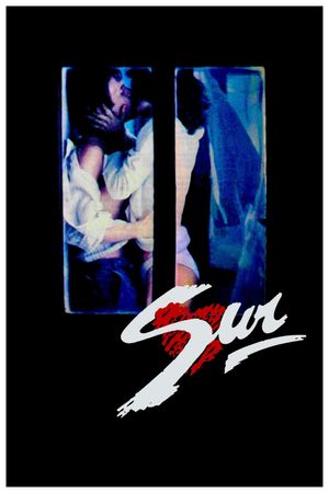 The South's poster