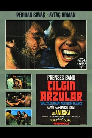 Çilgin Arzular's poster