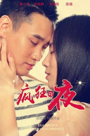 疯狂的夜's poster