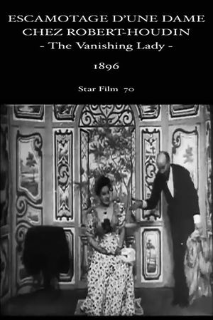 The Vanishing Lady's poster