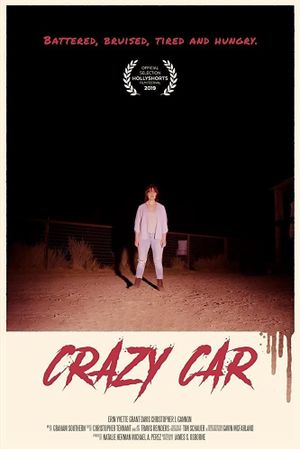 Crazy Car's poster image