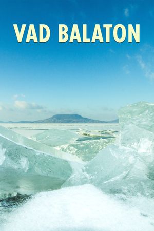 Vad Balaton's poster