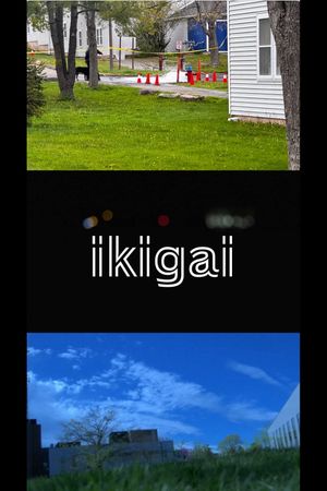 Ikigai's poster