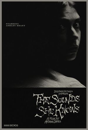 The Sounds She Knows's poster