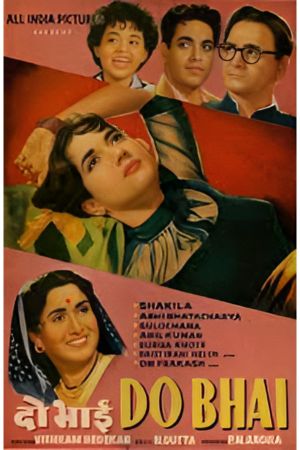Do Bhai's poster