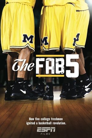 The Fab Five's poster