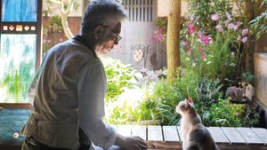 Teacher and Stray Cat's poster