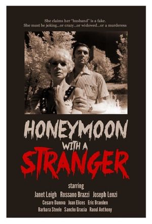 Honeymoon with a Stranger's poster