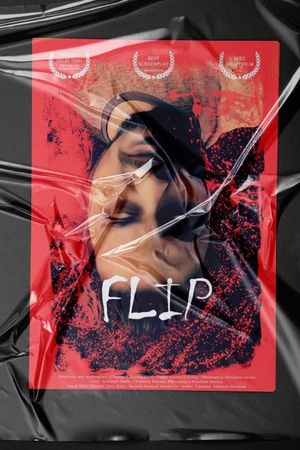 Flip's poster image