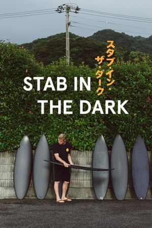 Stab in the Dark's poster image