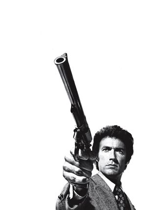 Magnum Force's poster