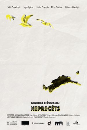 Unmarried's poster