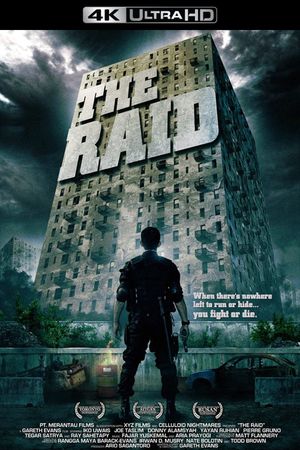 The Raid: Redemption's poster