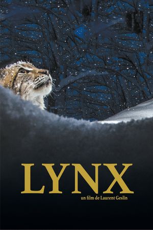 Lynx's poster