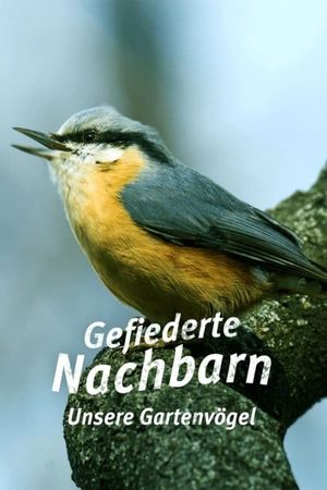 Gefiederte Nachbarn - Unsere Gartenvögel's poster