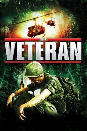 The Veteran's poster