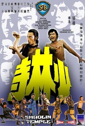 Shaolin Temple's poster