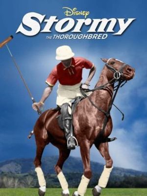 Stormy, the Thoroughbred's poster